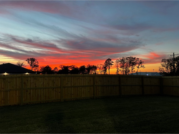 orange Sunset with trees to the left
