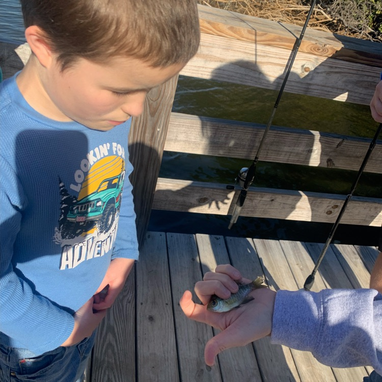 student looking at fish