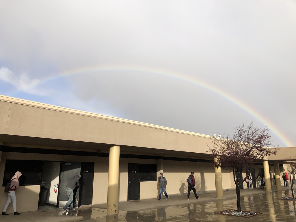 Rainbow on campus