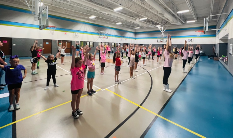 Pink-out dance clinic 