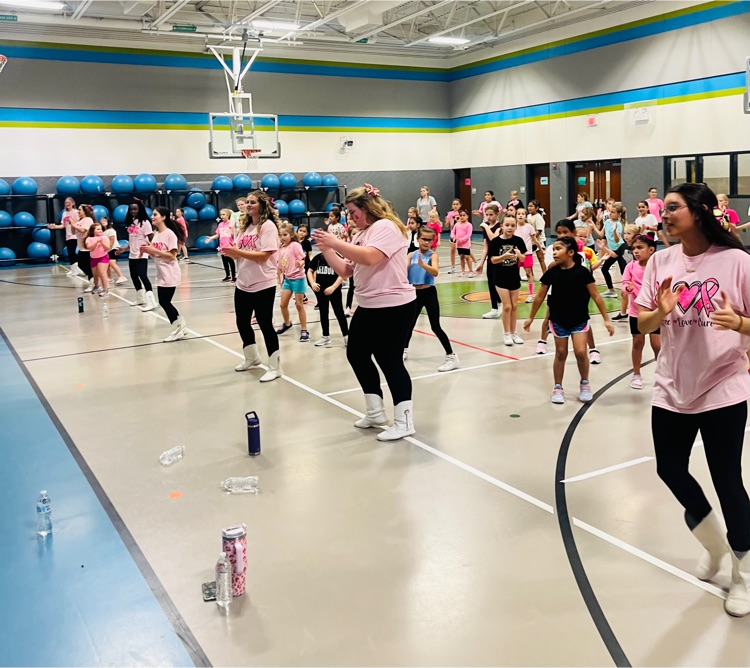 Pink-out dance clinic 