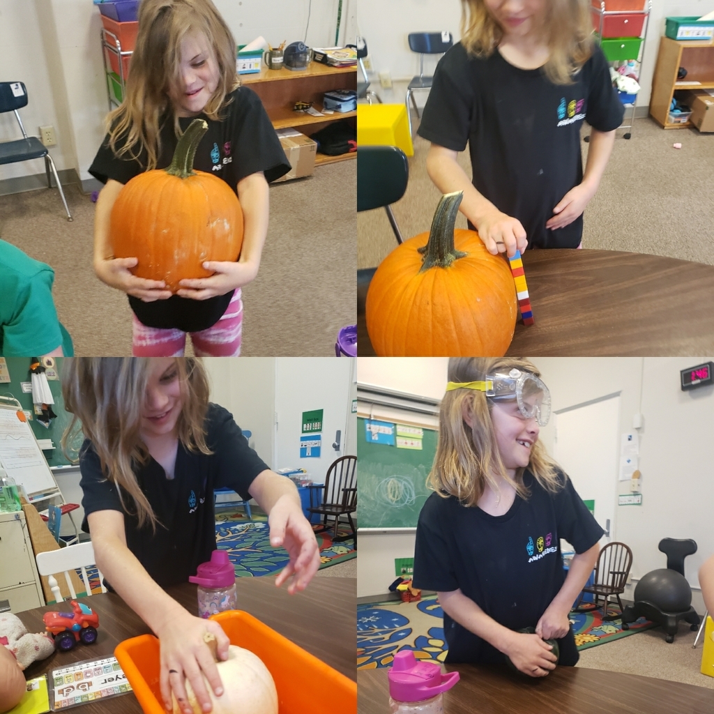 Exploring to see if the pumpkin floats how heavy it is and how tall it is