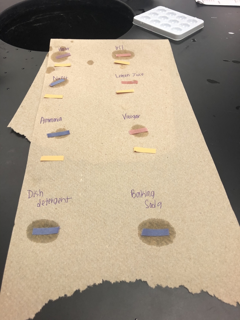 AB Lab