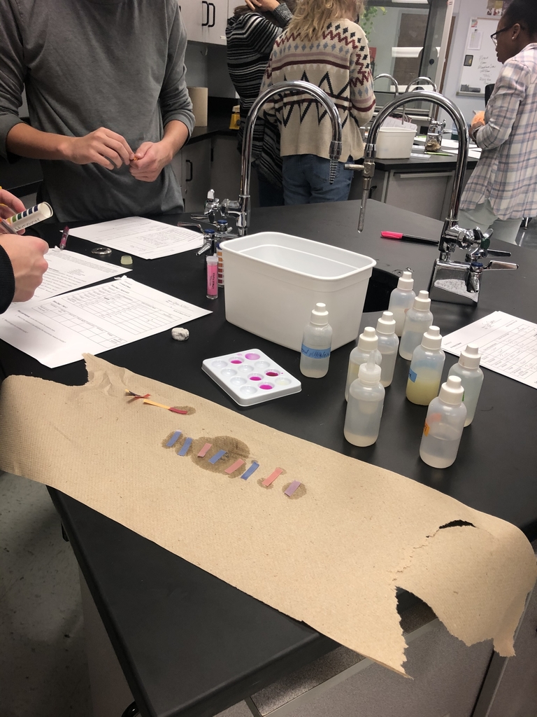 AB lab