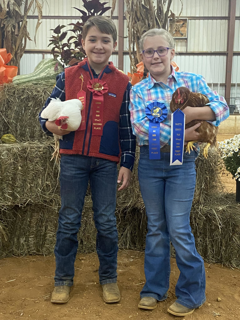 Alabama 4H Chick Chain 2023