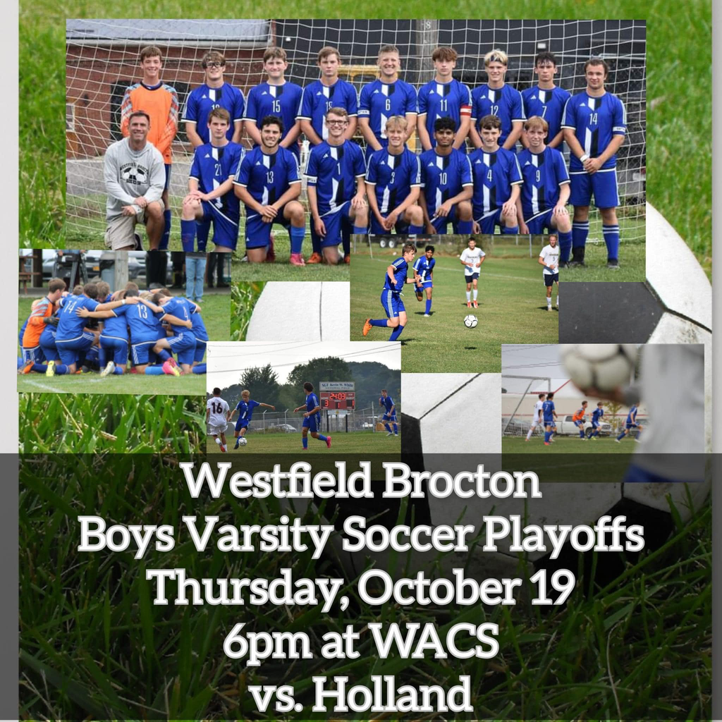 Westfield/Brocton Soccer Team