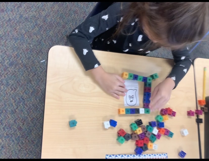 GR 1 STEM