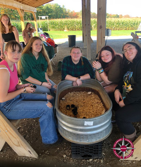 Students around a tank with small animals