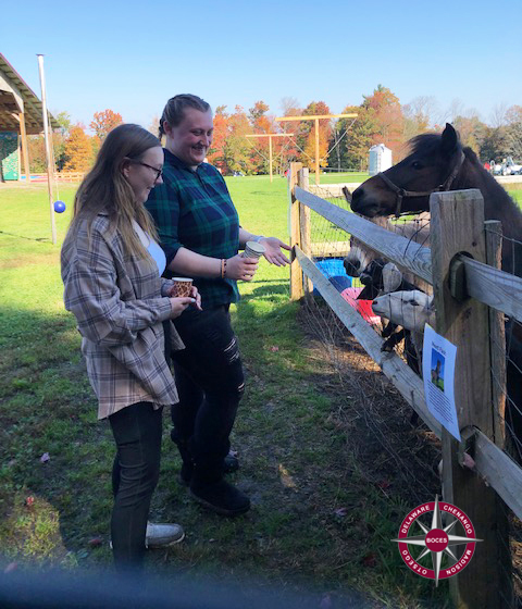 Students feed a pony