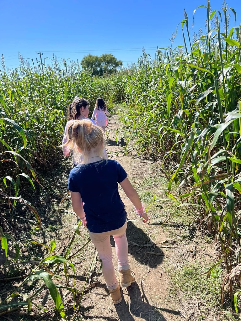 Elementary students at a pumpkin patch