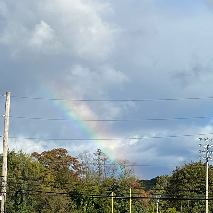 rainbow 