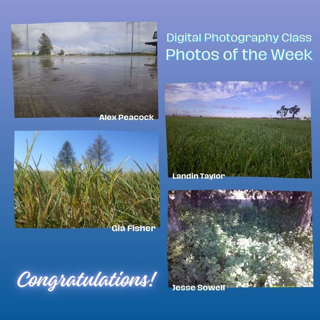 Photos of the Week