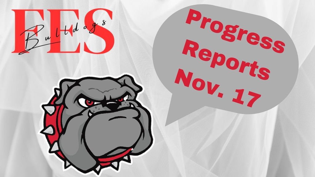progress reports