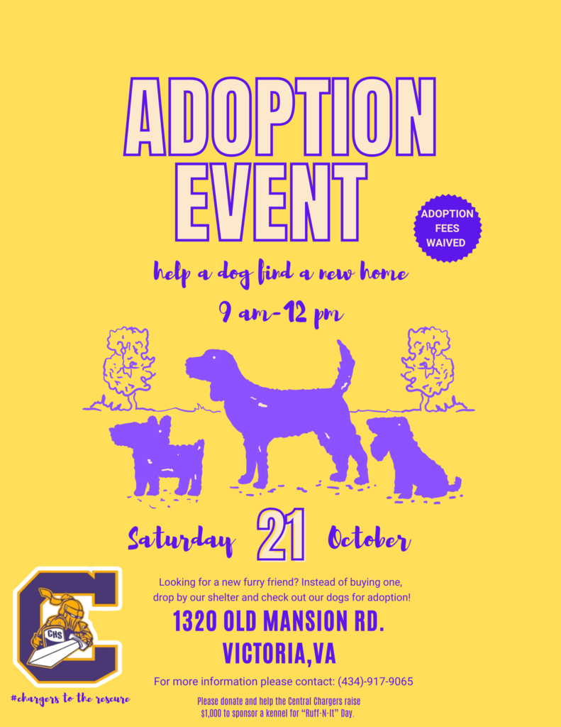 Animal Shelter Flyer