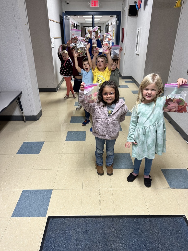 Leaf Project Normandy School photo