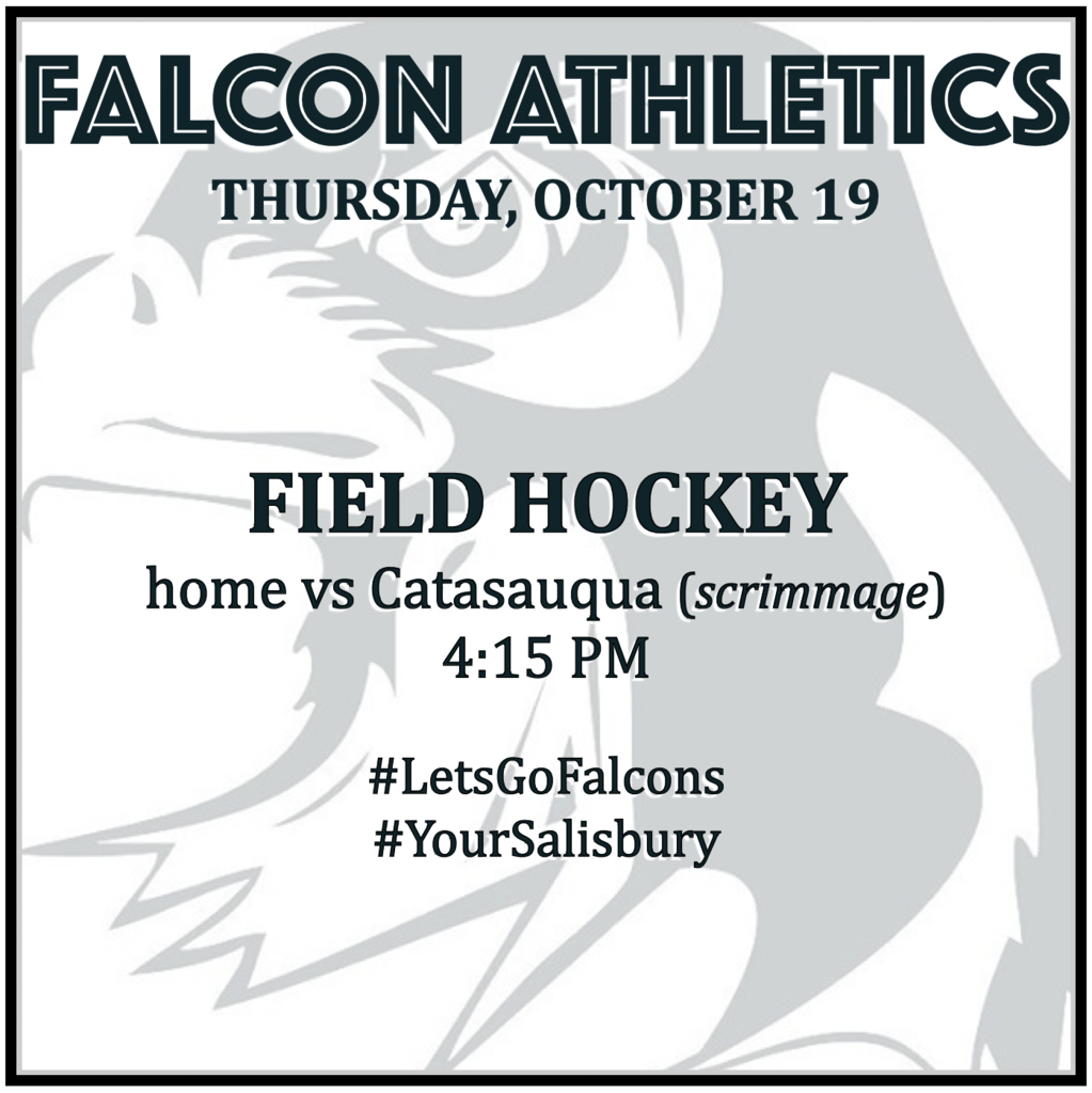 FIELD HOCKEY home scrimmage vs Catasauqua: 4:15 PM.
