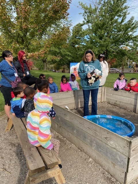 preschool trip to the farm