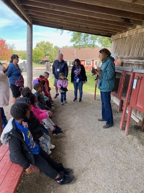 preschool trip to the farm