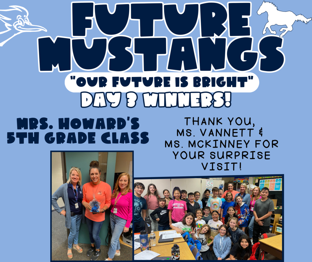 day 3 mustangs