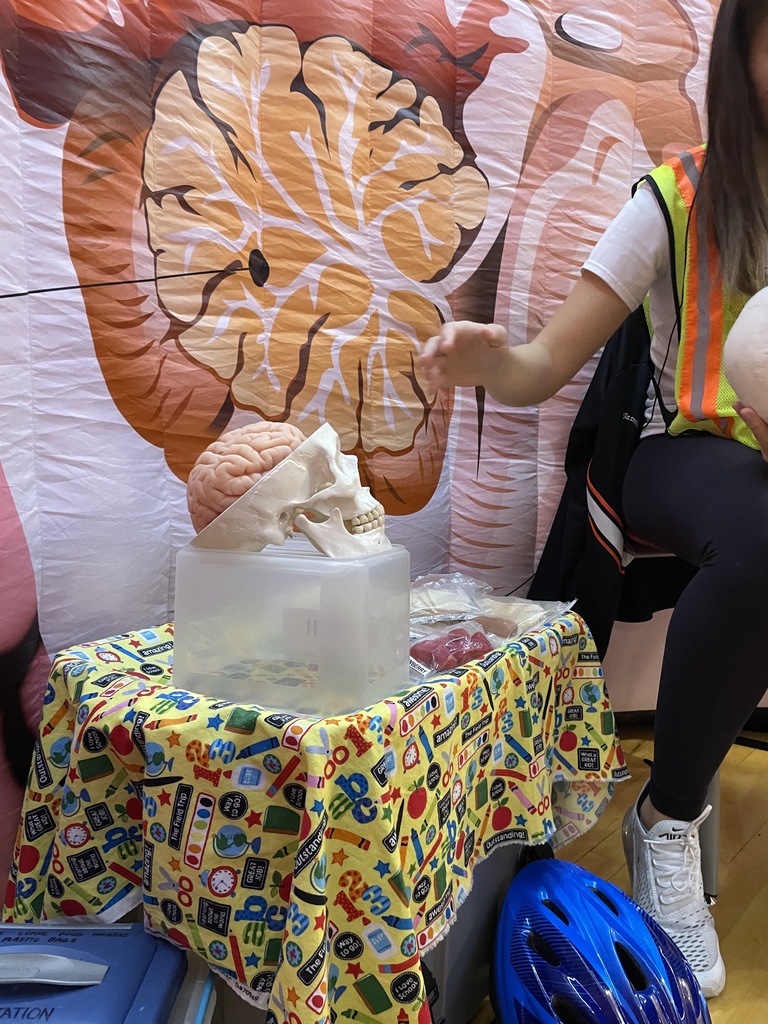 body venture