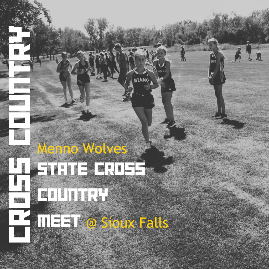 State Cross Country