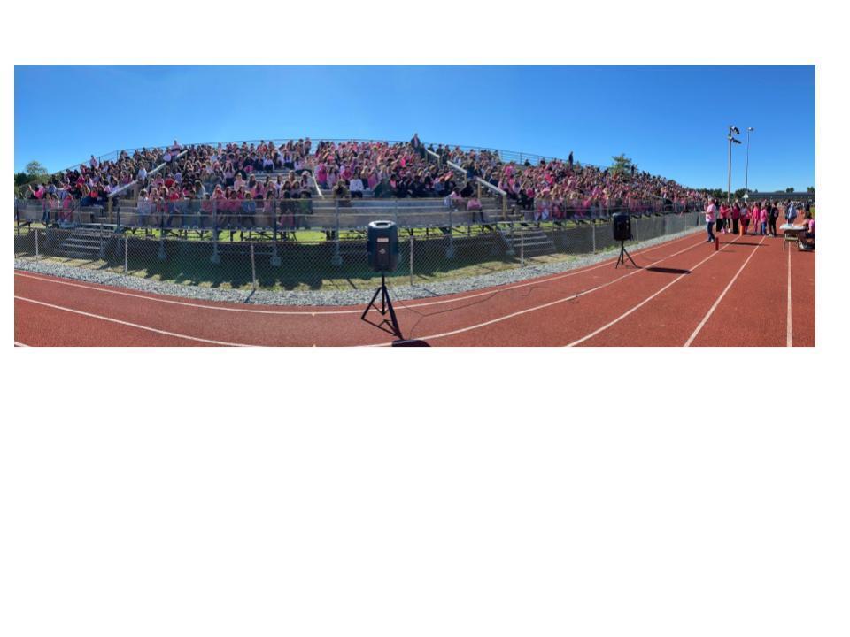 Bleachers with students at Pink Out