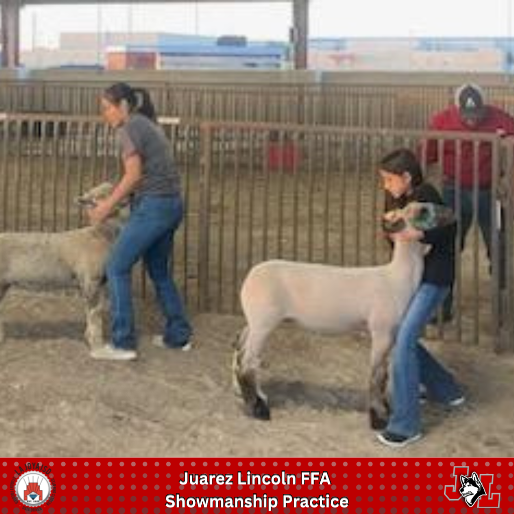 students holding lambs and goats