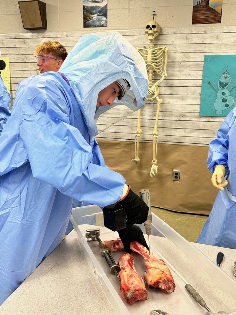 Health Services Students