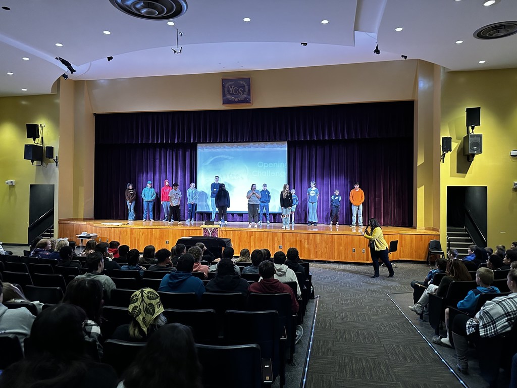 PD 3