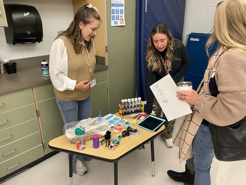 two teachers working on a project