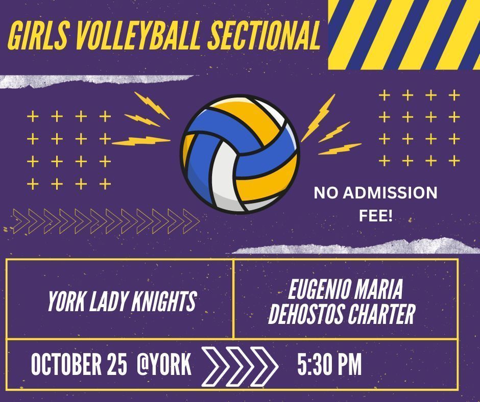 Girls Volleyball sectional