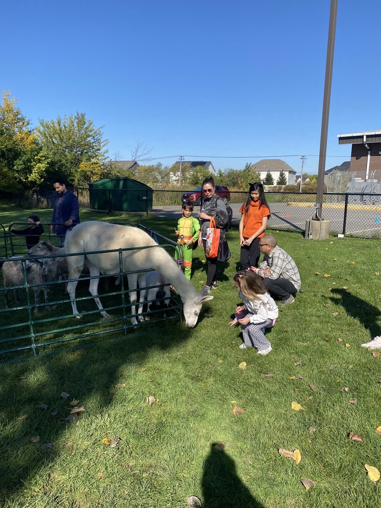 Petting zoo