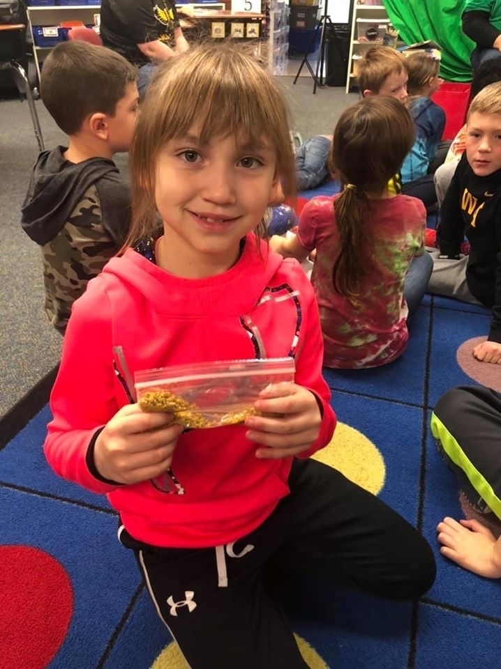 #mphawks