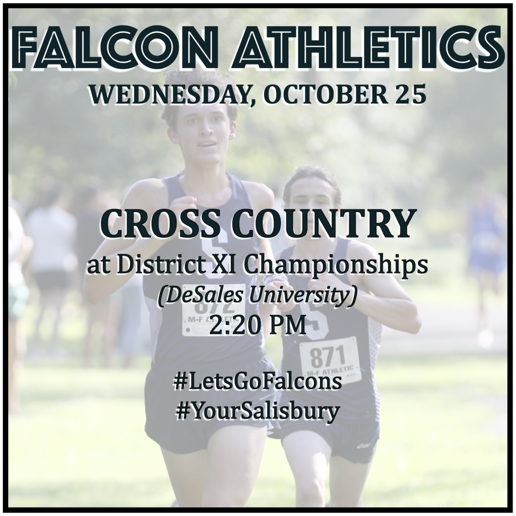 CROSS COUNTRY at District XI Championships (at DeSales University): 2:20 PM.