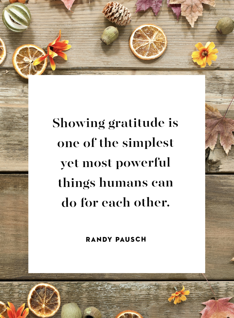 Gratitude