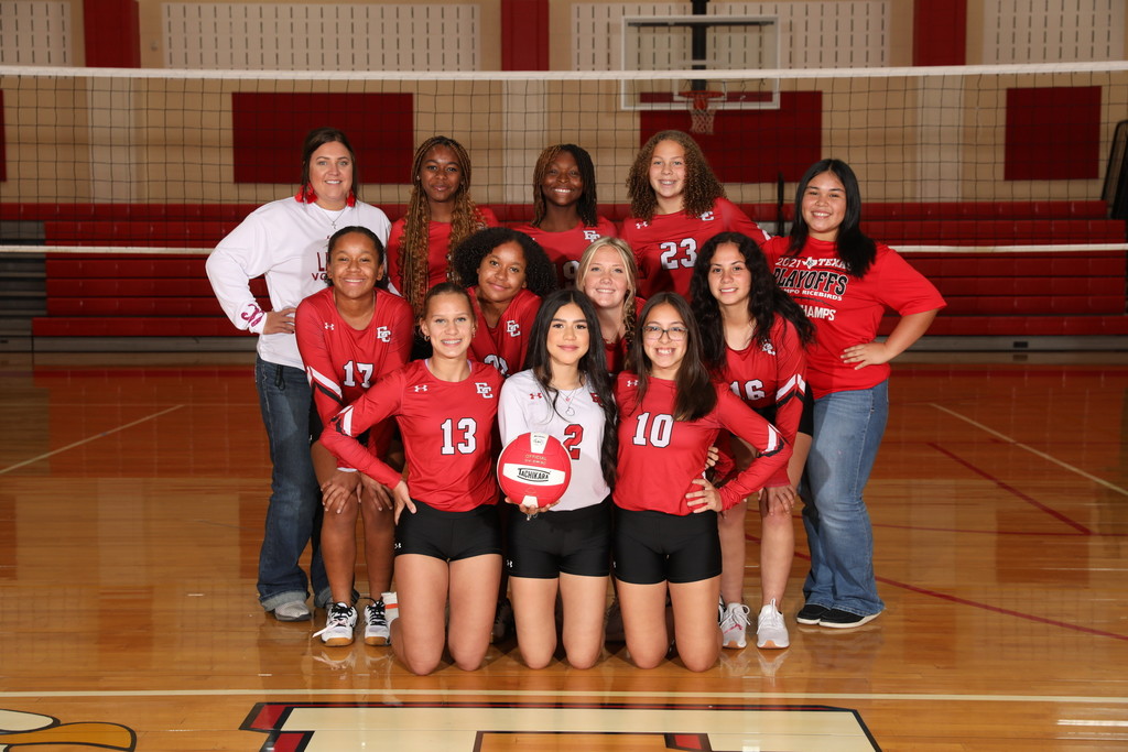 team picture by the net