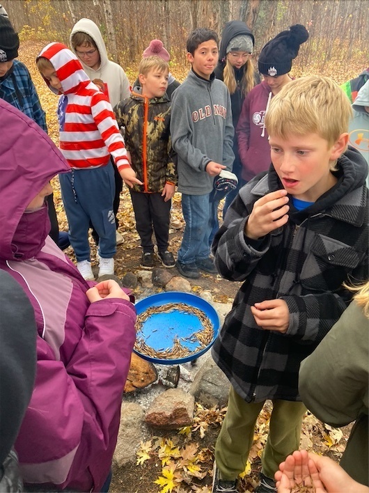 Eating "green" (raw) wild rice