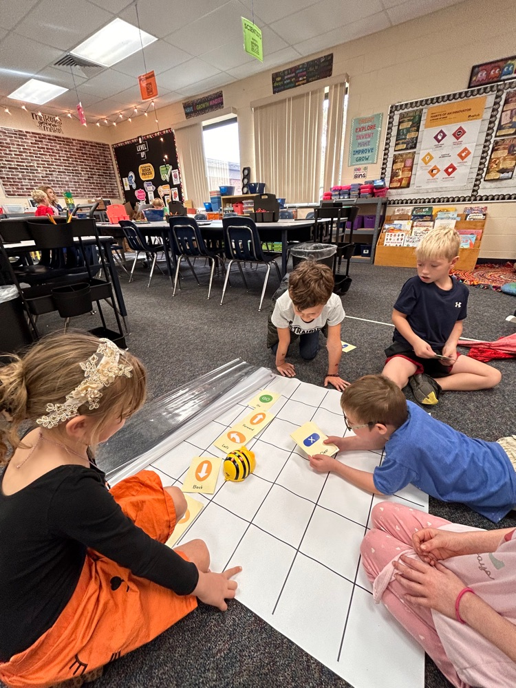 Student coding the Bee-Bot