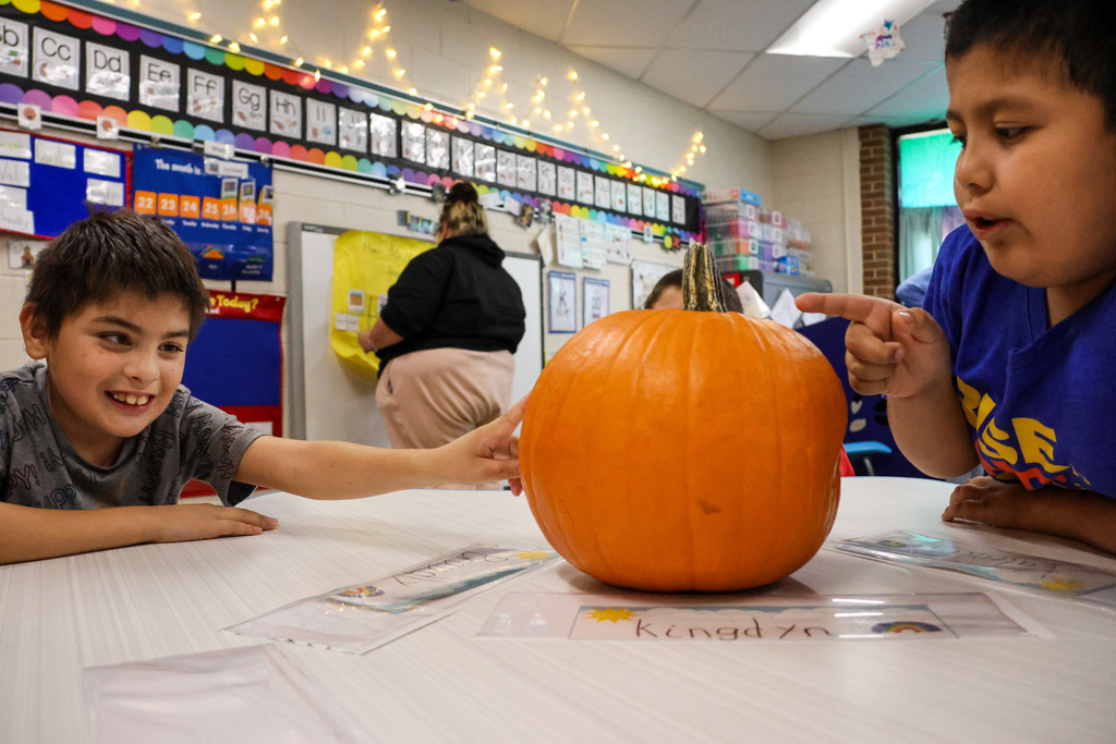 student studying a pumpkin