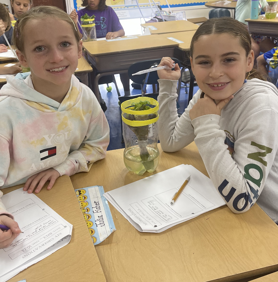 two fourth grade students observing their lettuce