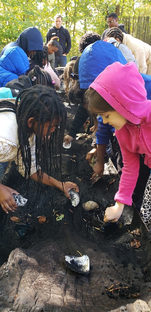 2nd grade students dig for artifacts.