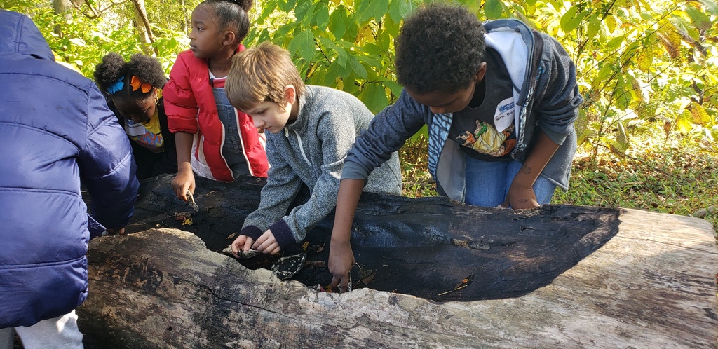 2nd graders use tools from the past.