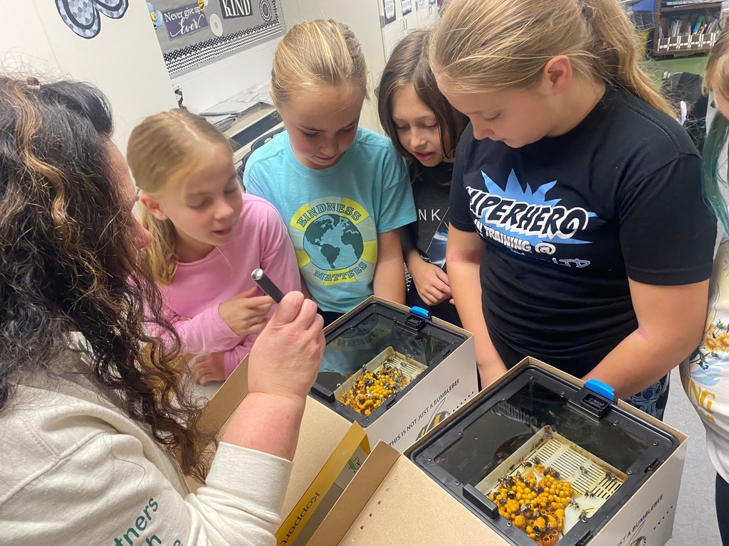 students looking at an enclosed beehive