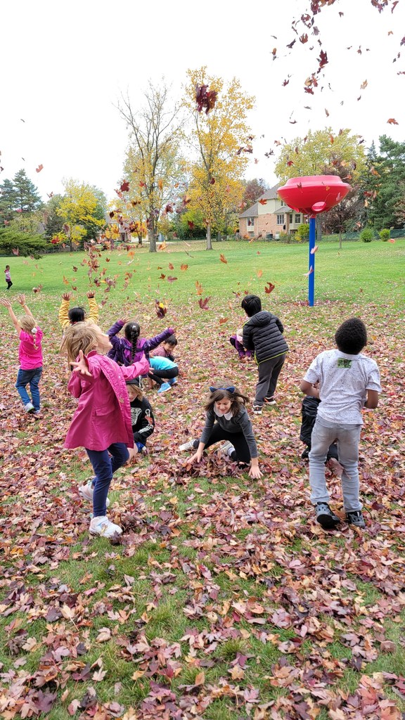leaves4