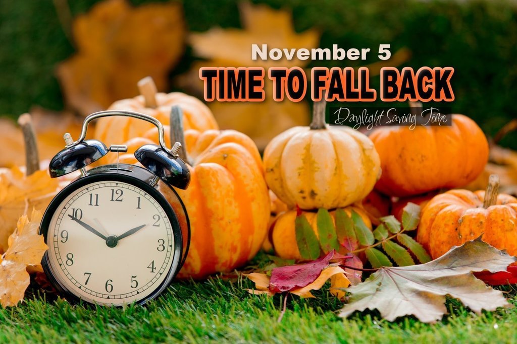 Fall BAck