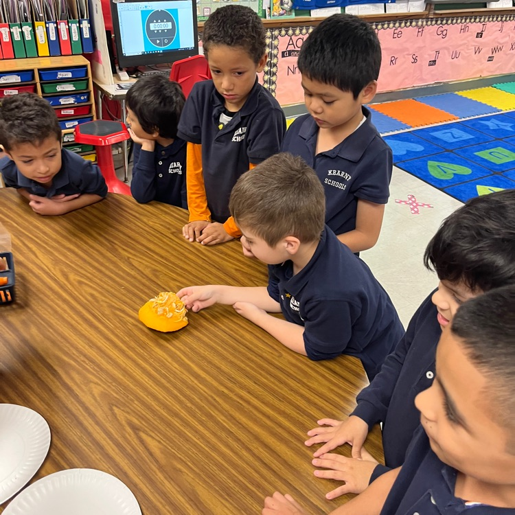 Today Mrs. Hornung’s class carved a class pumpkin and learned what the inside of a pumpkin looks and feels like!