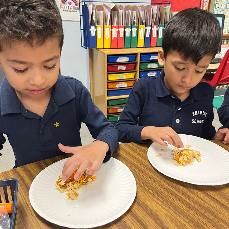 Today Mrs. Hornung’s class carved a class pumpkin and learned what the inside of a pumpkin looks and feels like!