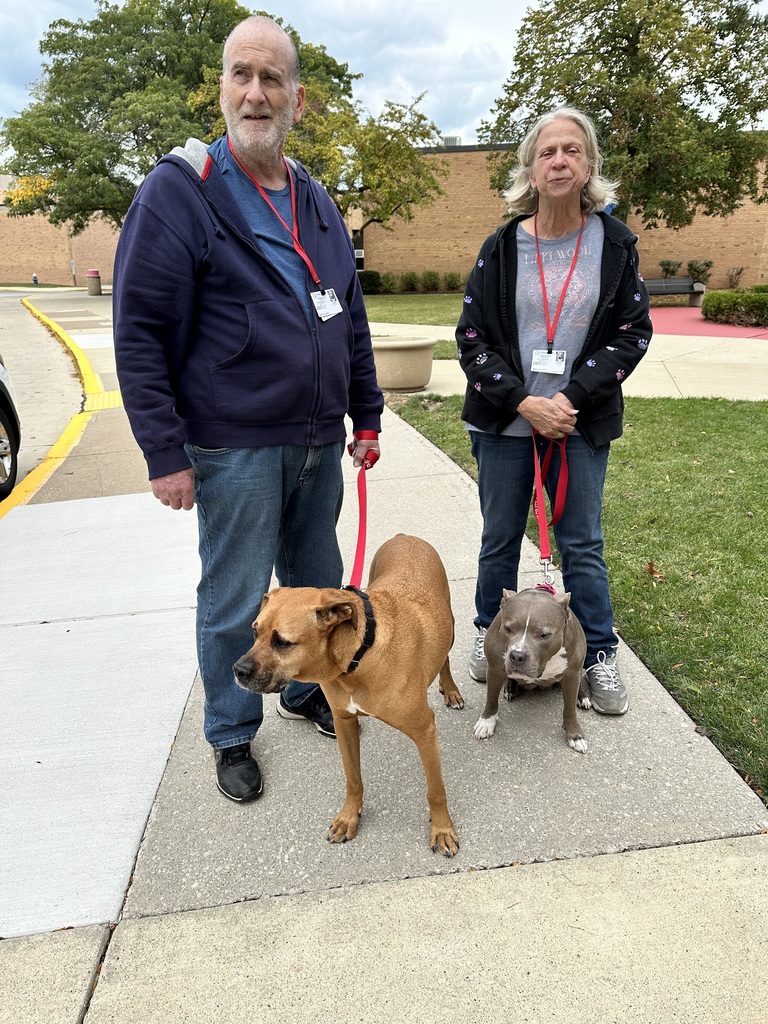 Therapy dogs visit Bay High photo