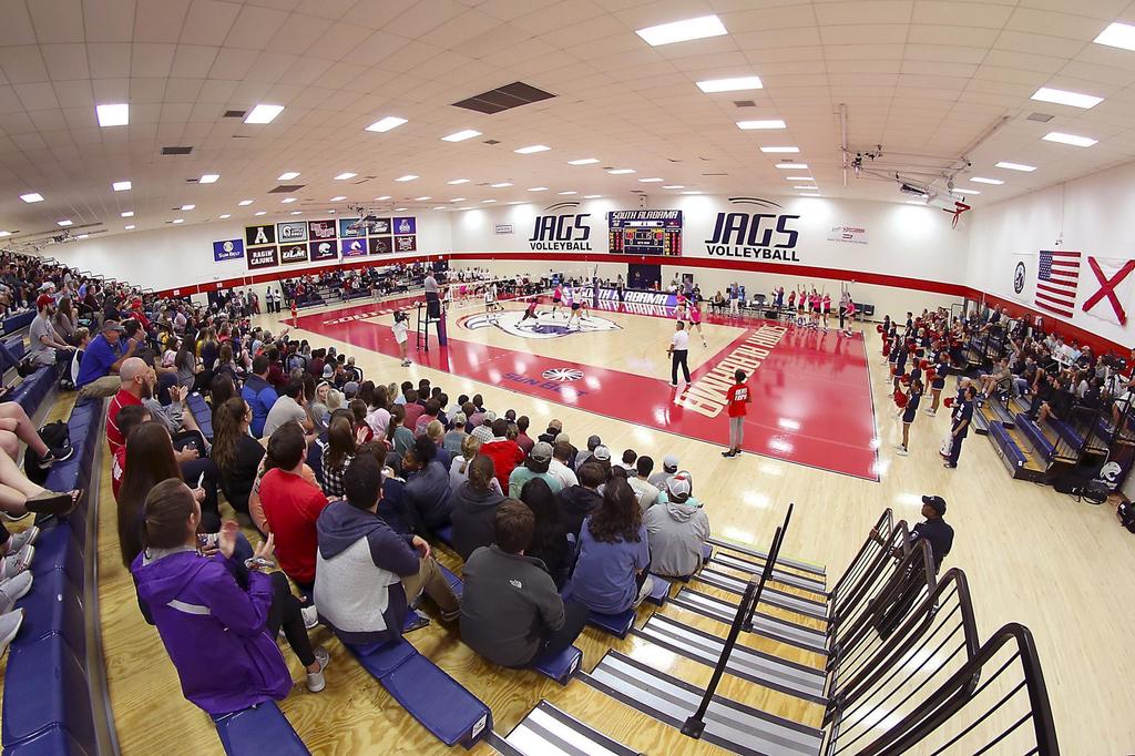 people congratulating