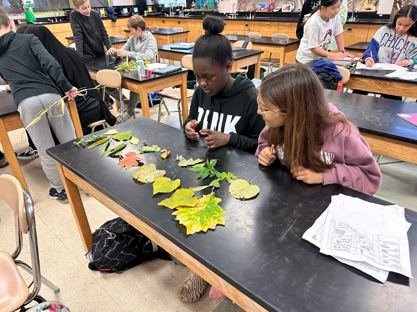 science; sixth grade; students; middle school